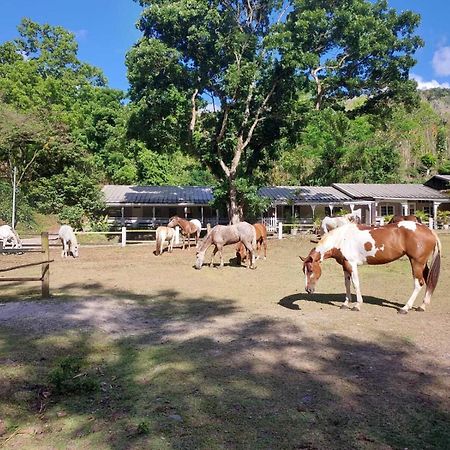 Ranch Black Horse Villa Les Trois-Ilets Esterno foto