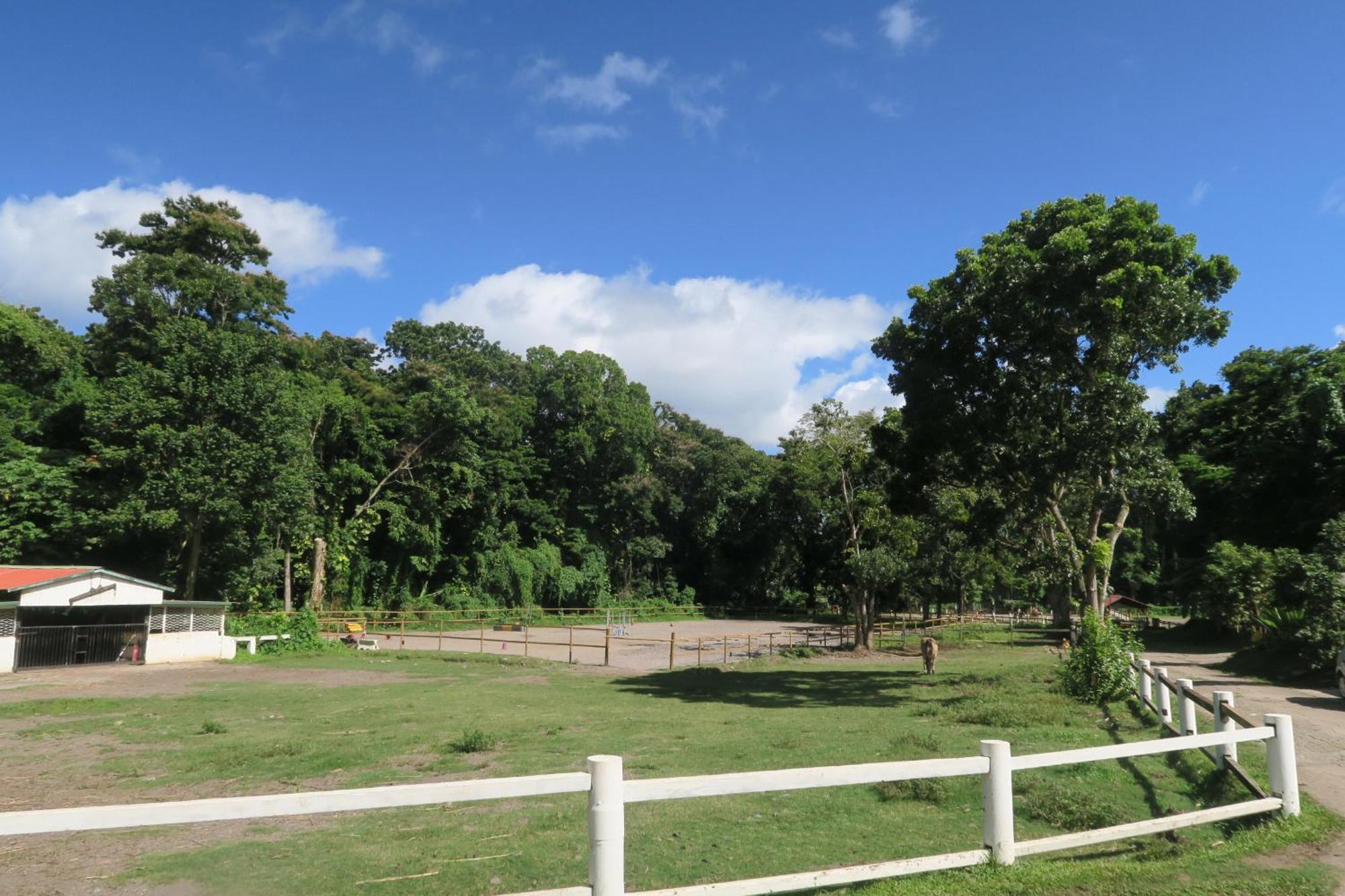 Ranch Black Horse Villa Les Trois-Ilets Esterno foto