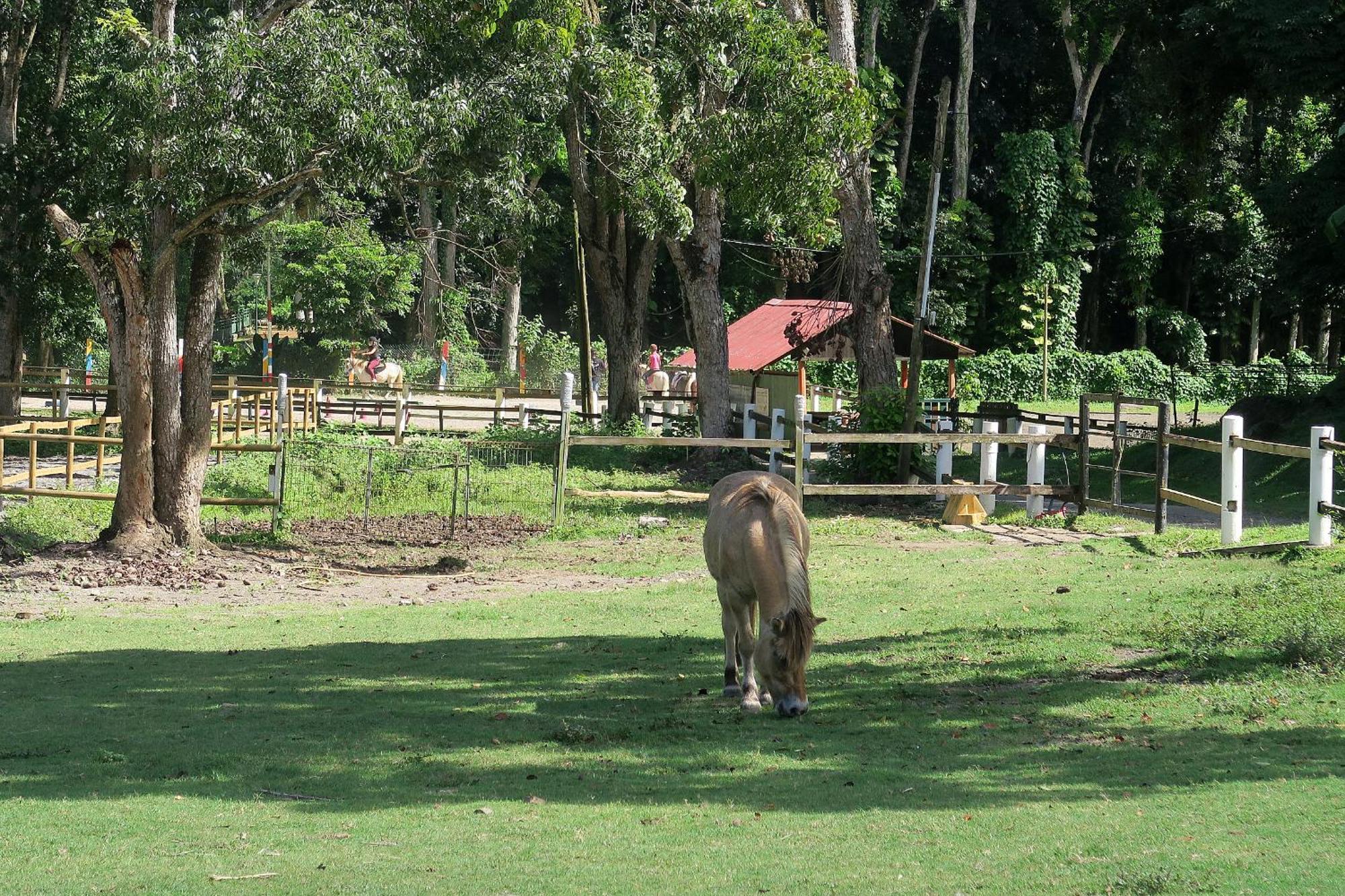 Ranch Black Horse Villa Les Trois-Ilets Esterno foto