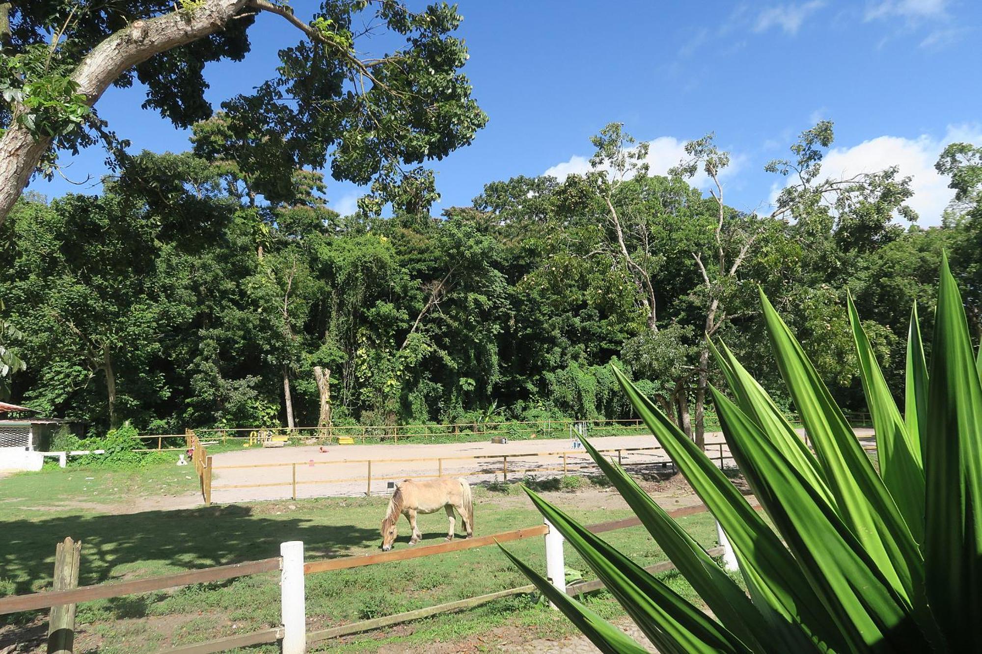 Ranch Black Horse Villa Les Trois-Ilets Esterno foto