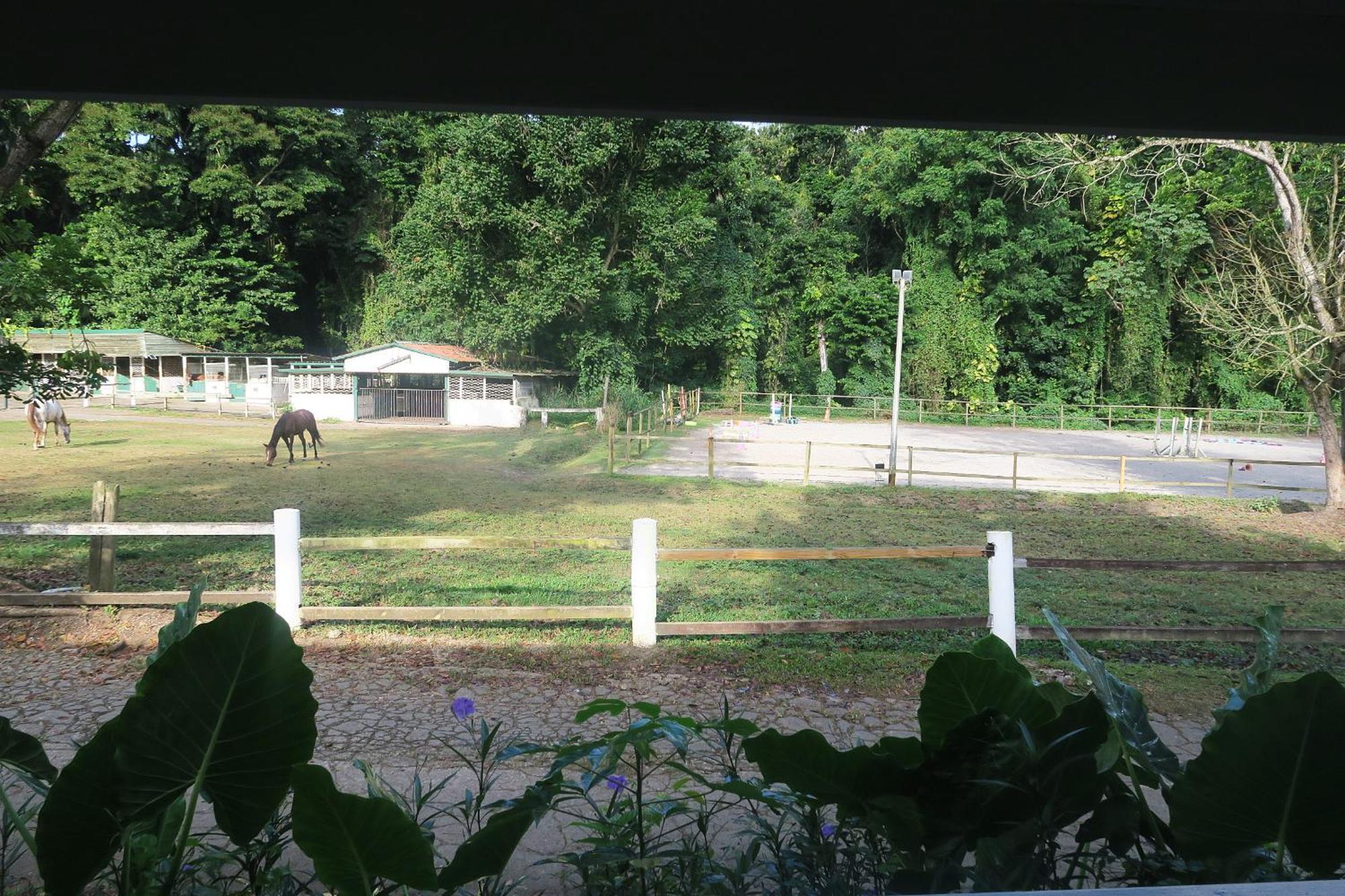 Ranch Black Horse Villa Les Trois-Ilets Camera foto